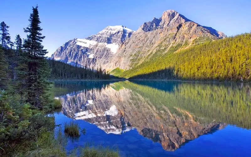 新型高性能新型